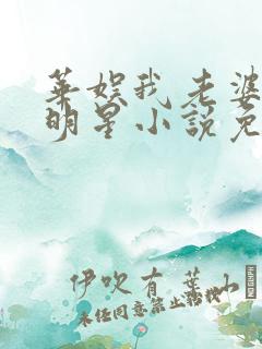 华娱我老婆是大明星小说免费阅读下载