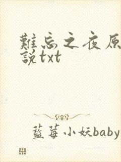 难忘之夜原著小说txt