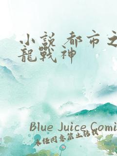 小说 都市之狂龙战神