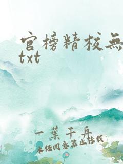 官榜精校无错版txt
