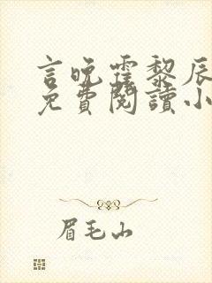 言晚霍黎辰全文免费阅读小说无弹窗