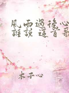 风雨过后心事向谁说 这首歌的歌名