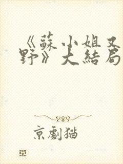 《苏小姐又乖又野》大结局