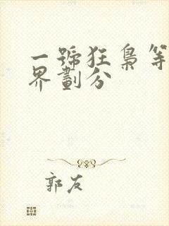 一号狂枭等级境界划分