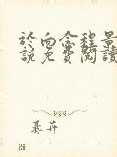 于向念程景默小说免费阅读