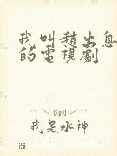 我叫赵出息类似的电视剧