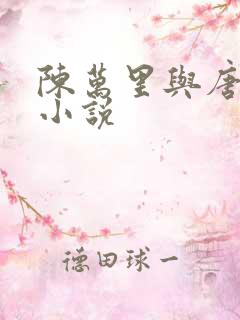 陈万里与唐嫣然小说