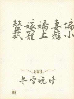 替嫁娇妻偏执总裁宠上瘾小说