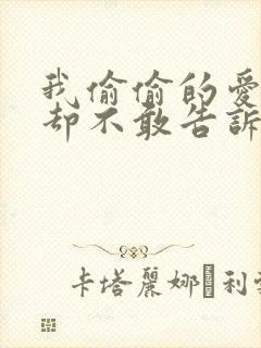 我偷偷的爱上你却不敢告诉你歌词