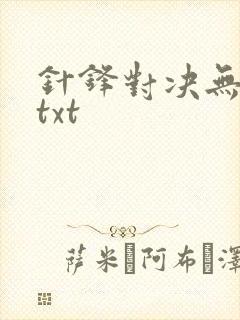 针锋对决无删减txt