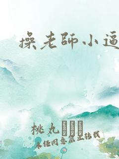 操老师小逼小说