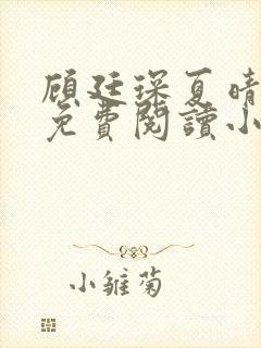 顾廷琛夏晴全文免费阅读小说