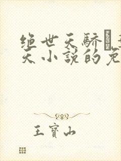 绝世天骄·叶凌天小说的免费阅读