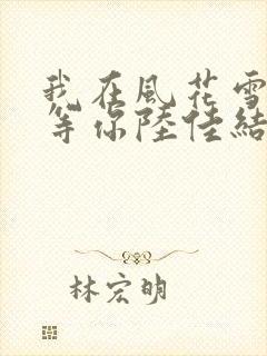 我在风花雪月里等你陆佳结局