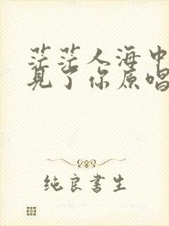 茫茫人海中我遇见了你原唱