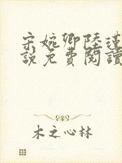 宋婉卿陆瑾之小说免费阅读最新章节