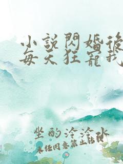 小说闪婚后大叔每天狂宠我完整版