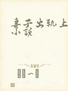 妻子出轨上司的小说