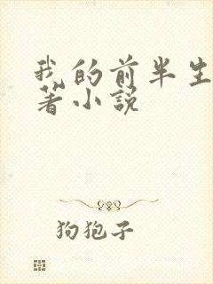 我的前半生书原著小说