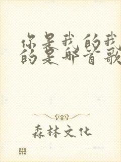 你是我的我是你的是哪首歌的歌词