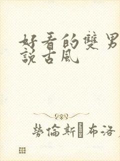 好看的双男主小说古风