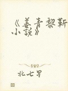 《姜青黎靳寒夜小说》