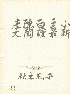 老陈白柔小说全文阅读最新章节内容