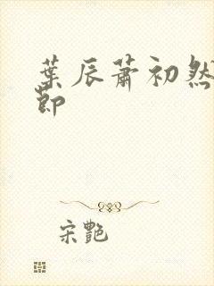 叶辰萧初然新章节