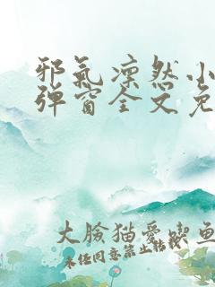 邪气凛然小说无弹窗全文免费阅读