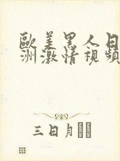 欧美黑人日本亚洲激情视频