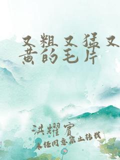 又粗又猛又爽又黄的毛片