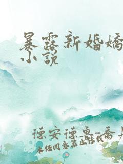 暴露新婚娇妻的小说