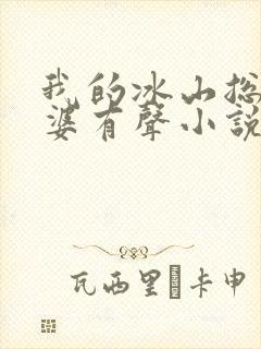 我的冰山总裁老婆有声小说
