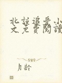 北说追爱小说全文免费阅读