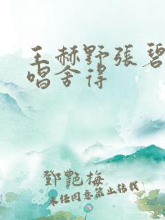 王赫野张碧晨合唱舍得