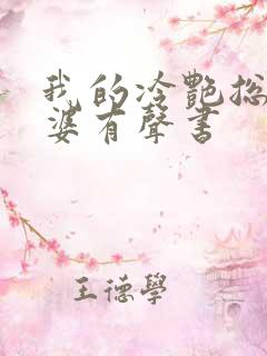 我的冷艳总裁老婆有声书