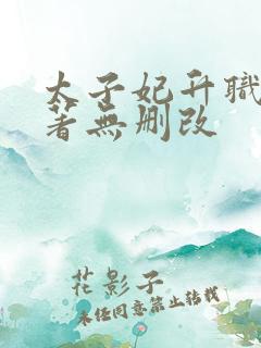 太子妃升职记原著无删改