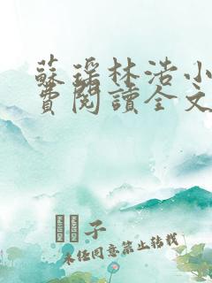 苏瑶林浩小说免费阅读全文最新章节