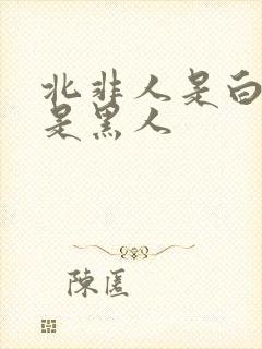 北非人是白人还是黑人