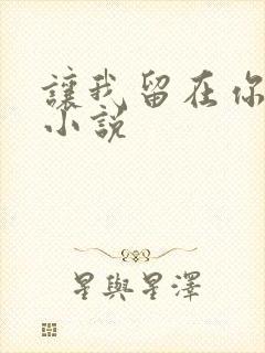 让我留在你身边小说