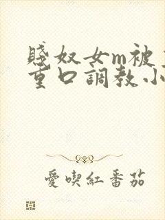 贱奴女m被主人重口调教小说