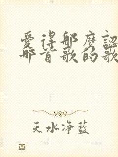 爱得那么认真是哪首歌的歌词