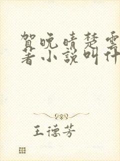 贺晚晴楚云深原著小说叫什么名字