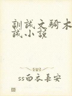 训诫文骑木马训诫小说