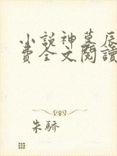 小说神墓辰东免费全文阅读