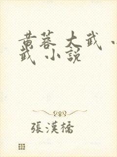 黄蓉 大武 小武 小说