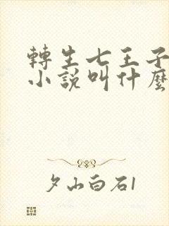 转生七王子原著小说叫什么