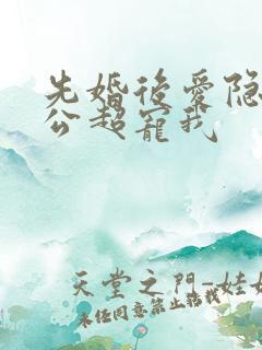 先婚后爱隐婚老公超宠我