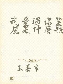 我爱过你笑的脸庞是什么歌