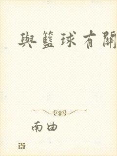 与篮球有关的书